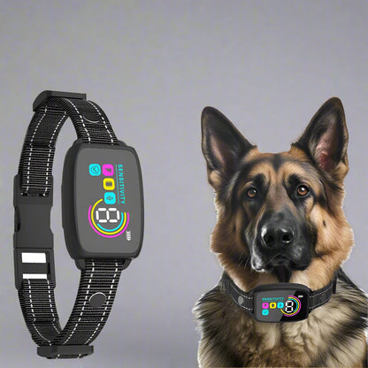 Smart Anti Barking Dog Collar - Zoomies