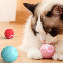 Rolling Ball Interactive Pets Toys - Zoomies