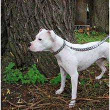 Caesar Cuban Link Chain - Zoomies