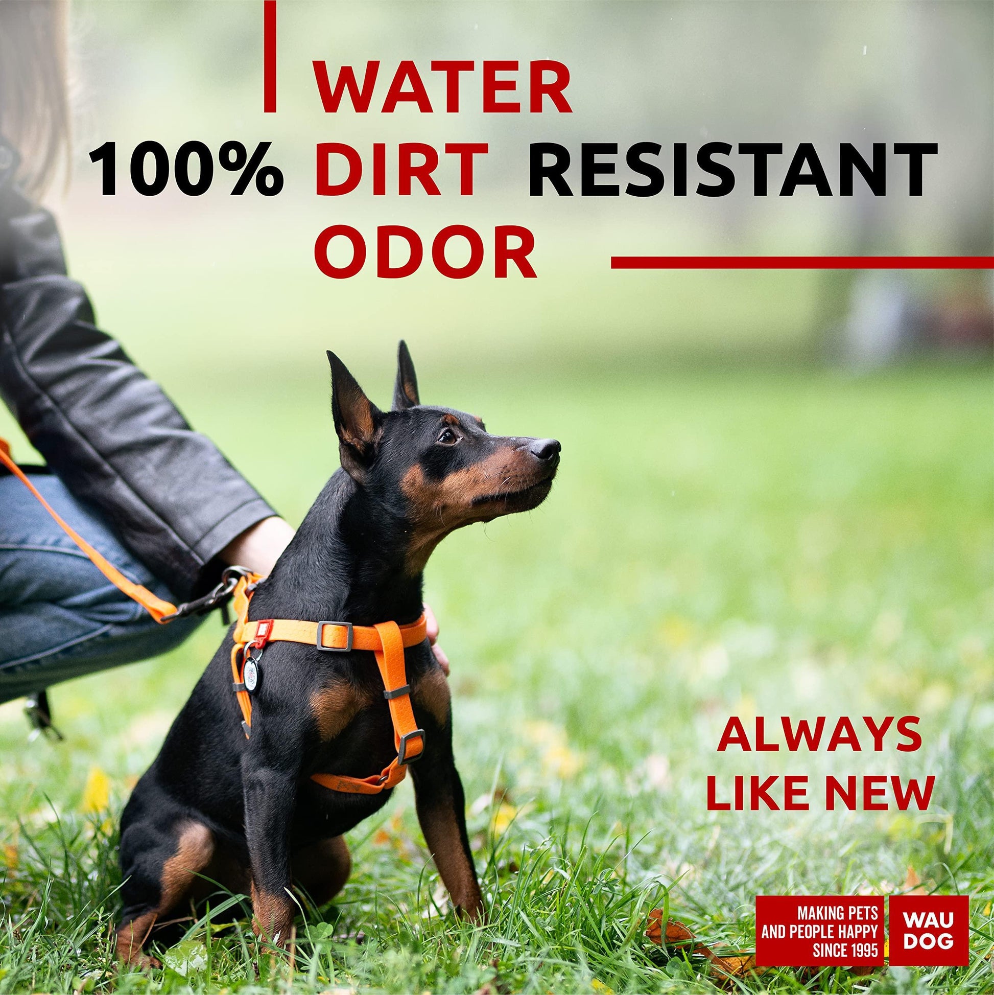 Waterproof Dog Harness - Zoomies