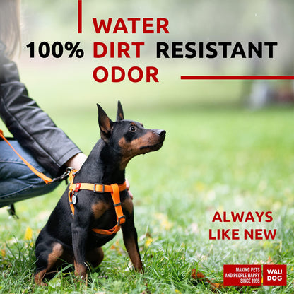 Waterproof Dog Harness - Zoomies
