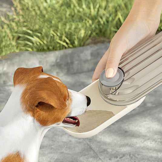 2 In 1 Pet Water Cup - Zoomies
