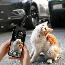 Pet Photography Tool - Zoomies