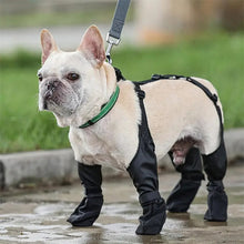 Waterproof Dog Shoes - Zoomies