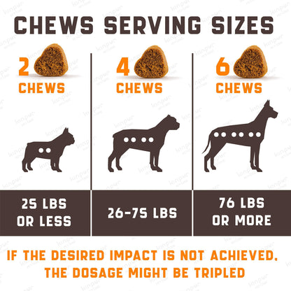 Calming Chews for Labrador Dogs - Zoomies
