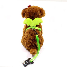 Little Angel Wings Pet Leash - Zoomies
