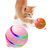 Pet Wicked Ball Toy - Zoomies