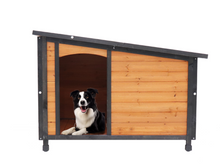 House Wooden Dog Kennel - Zoomies