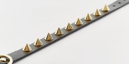Golden Spike Black Collar - Zoomies