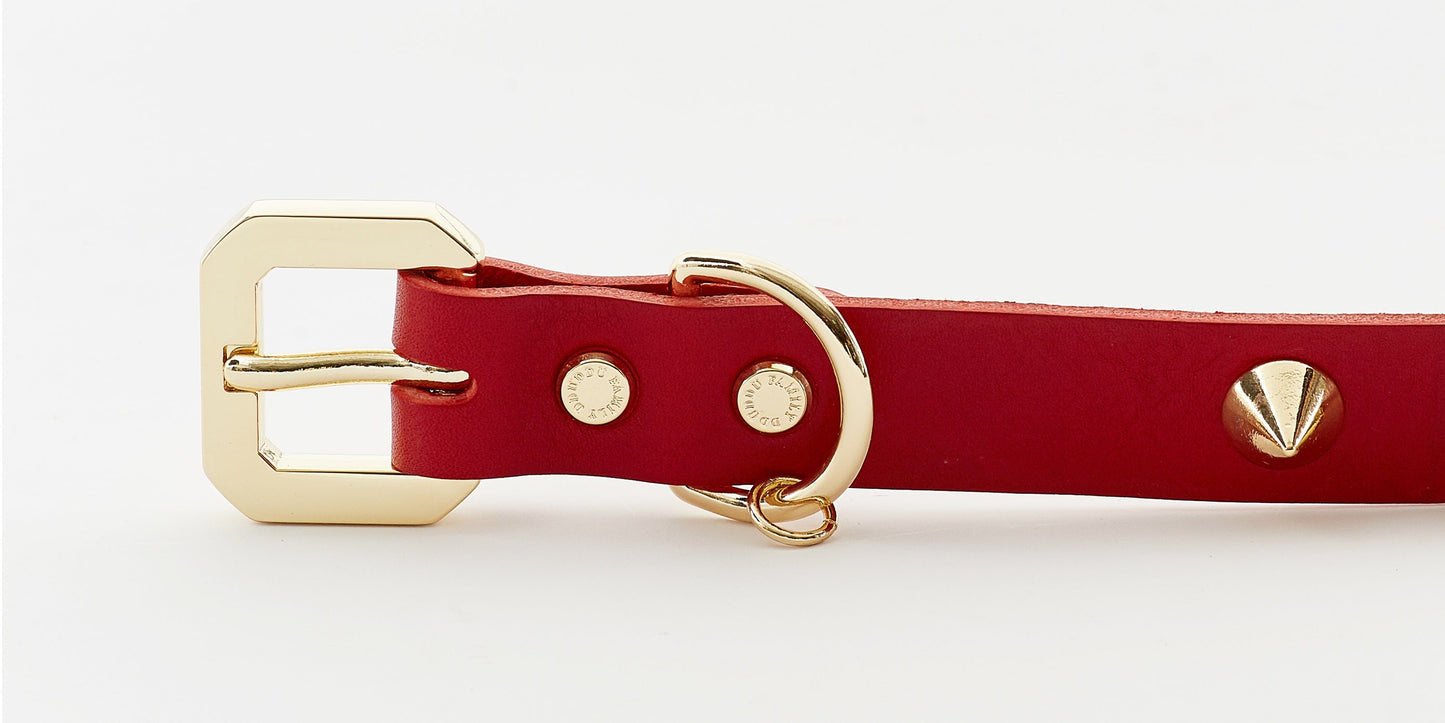 Golden Spike Red Collar - Zoomies