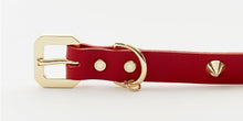 Golden Spike Red Collar - Zoomies