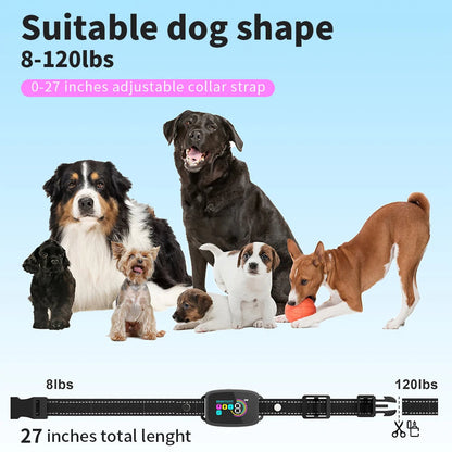 Smart Anti Barking Dog Collar - Zoomies