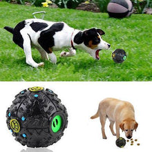 Treat Dispensing Pet Toy - Zoomies