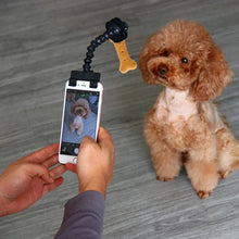 Pet Photography Tool - Zoomies