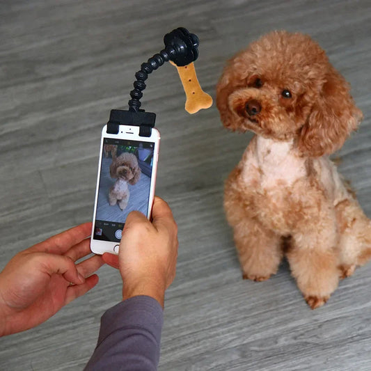 Pet Photography Tool - Zoomies