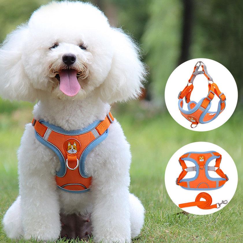 Ultimate Comfort And Safety Pet Harness Set - Zoomies