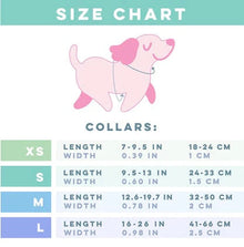 PAWSOME DOG COLLAR - #11