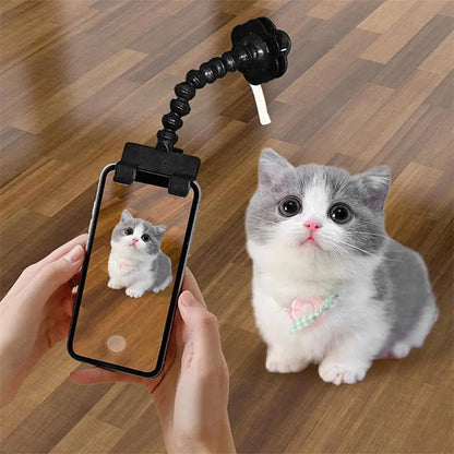 Pet Photography Tool - Zoomies