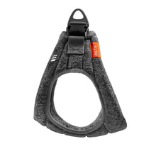 Air Pro Dog Harness - Zoomies