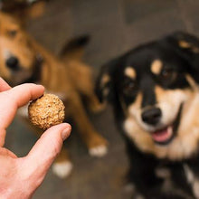 Beer Paws Peanut Butter Biscuits - Zoomies