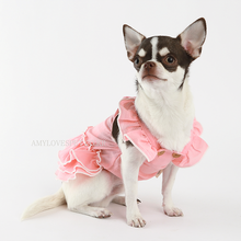 Blossom One-Piece Pink - Zoomies