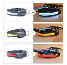 Solar Charge Reflective Led Collar - Zoomies