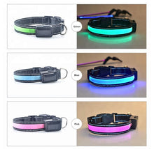 Solar Charge Reflective Led Collar - Zoomies