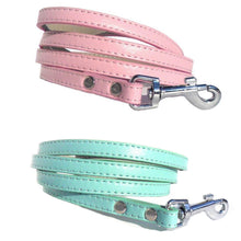 Classic Dog Leads - Zoomies