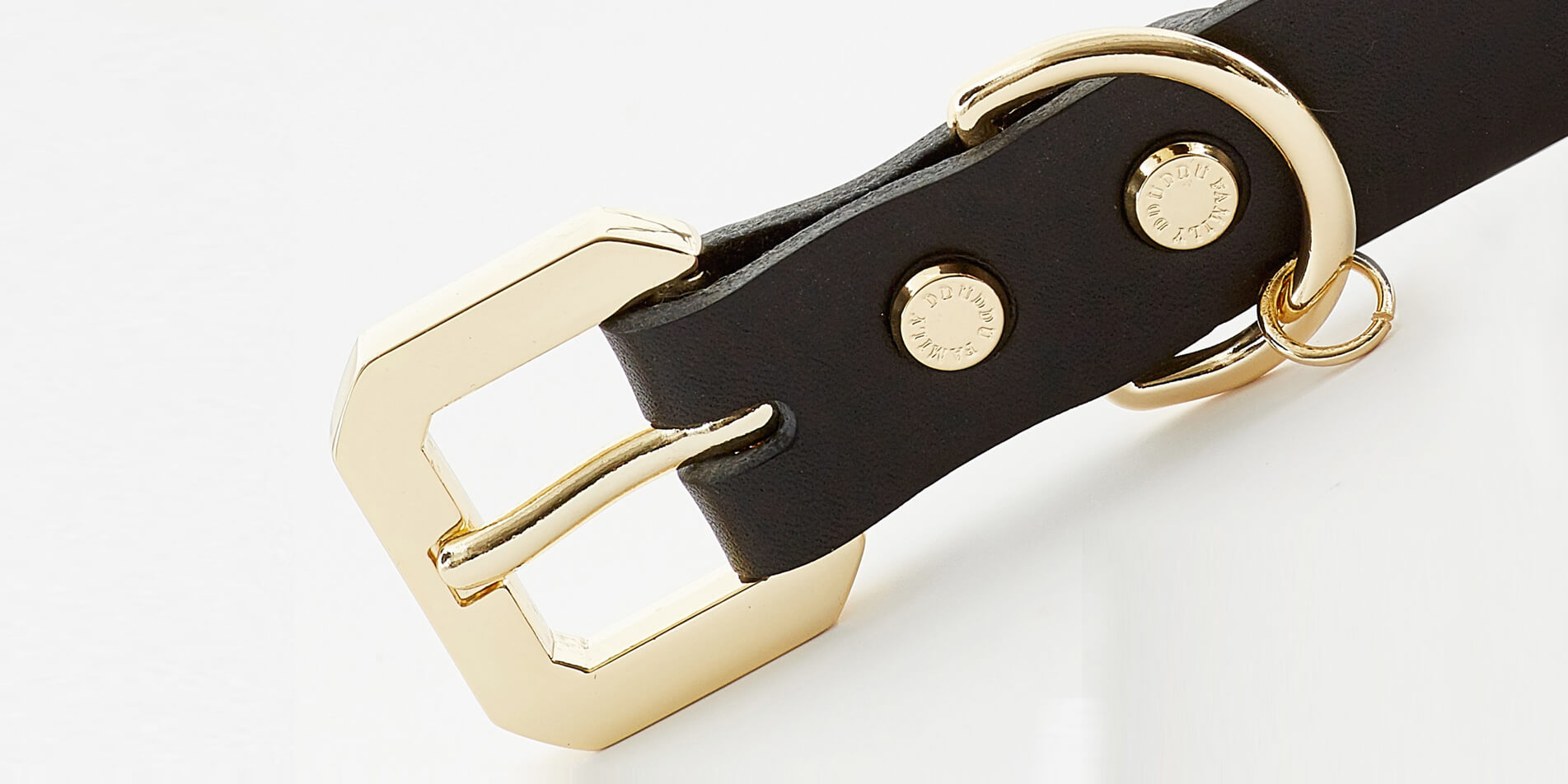 Golden Spike Black Collar - Zoomies
