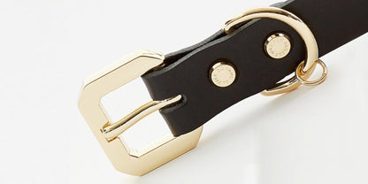 Golden Spike Black Collar - Zoomies