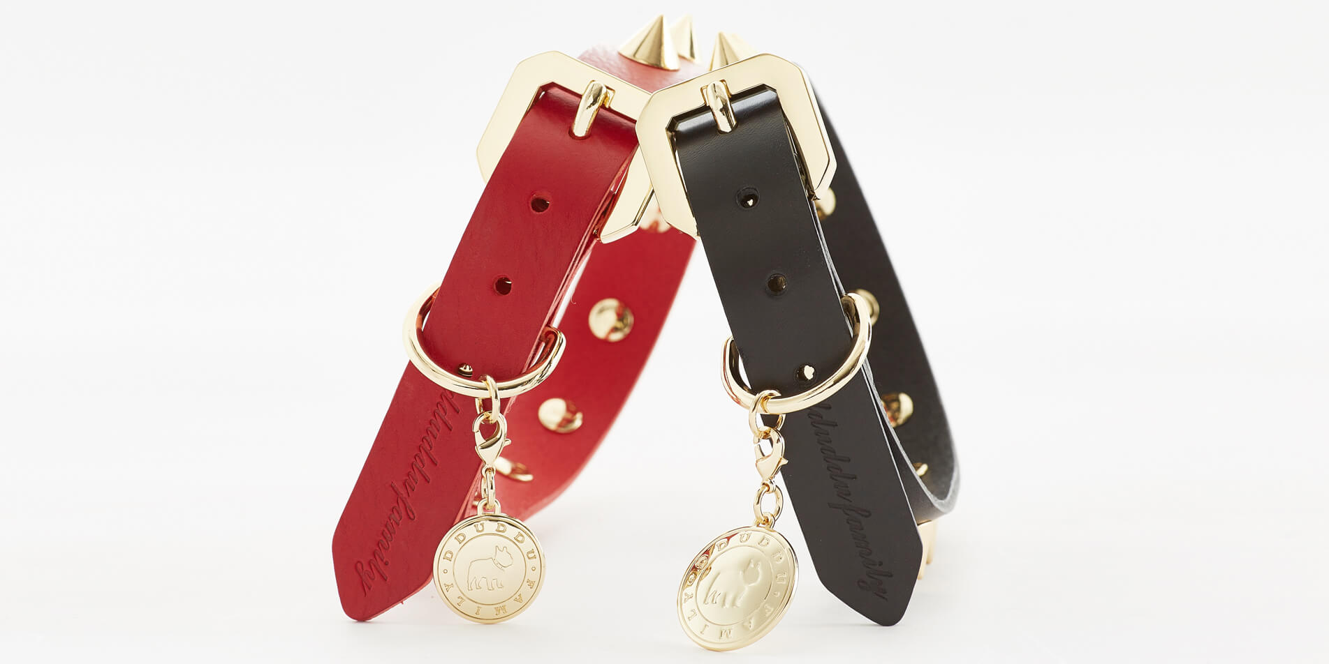 Golden Spike Red Collar - Zoomies