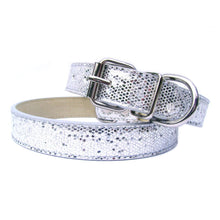 Disco Fever Dog Collar - Zoomies