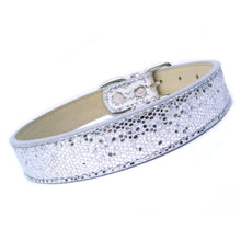 Disco Fever Dog Collar - Zoomies