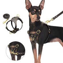 Genuine Leather Pet Harness - Zoomies