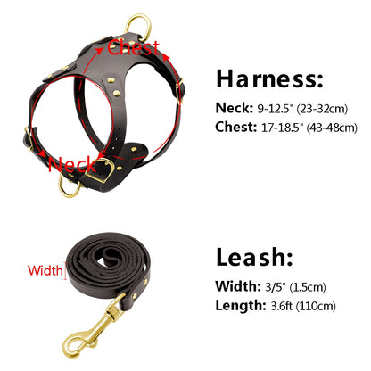 Genuine Leather Pet Harness - Zoomies