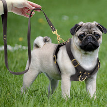 Genuine Leather Pet Harness - Zoomies