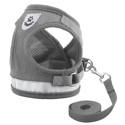 Harness for Chihuahua Pug - Zoomies