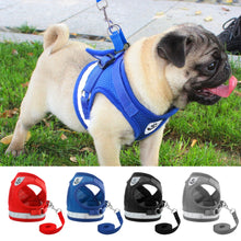 Harness for Chihuahua Pug - Zoomies