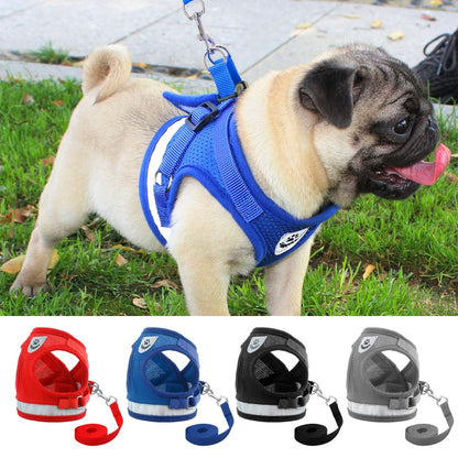 Harness for Chihuahua Pug - Zoomies