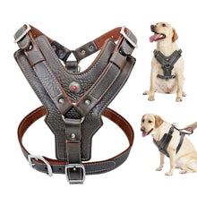 Durable Dog Harness - Zoomies