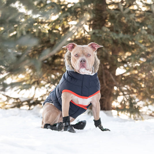 Winter Sailor Parka - Navy - Zoomies