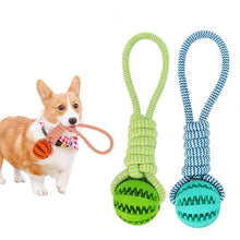 Durable Rubber Ball Chew Toy - Zoomies