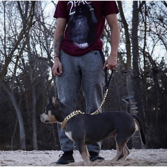 Kilo Cuban Link Chain - Zoomies