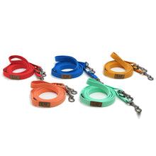 Lof Folding Lead Leash - Zoomies