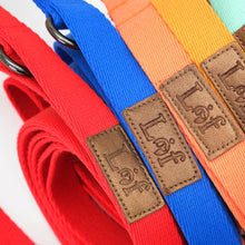 Lof Folding Lead Leash - Zoomies