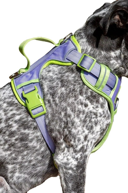 Ultimate Designer Dog Harness - Zoomies