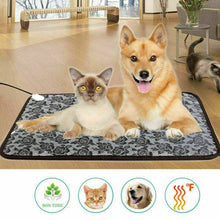 Thermal Heating Waterproof Bed - Zoomies