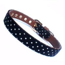 Polka Dot Fabric Dog Collar - Zoomies