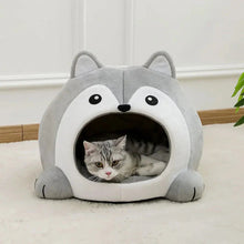 Cartoon Fox Theme Pet House - Zoomies