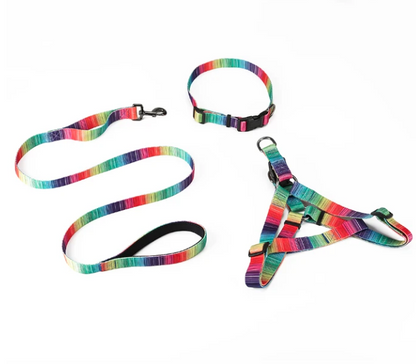 Matching Leash & Collars Set - Zoomies